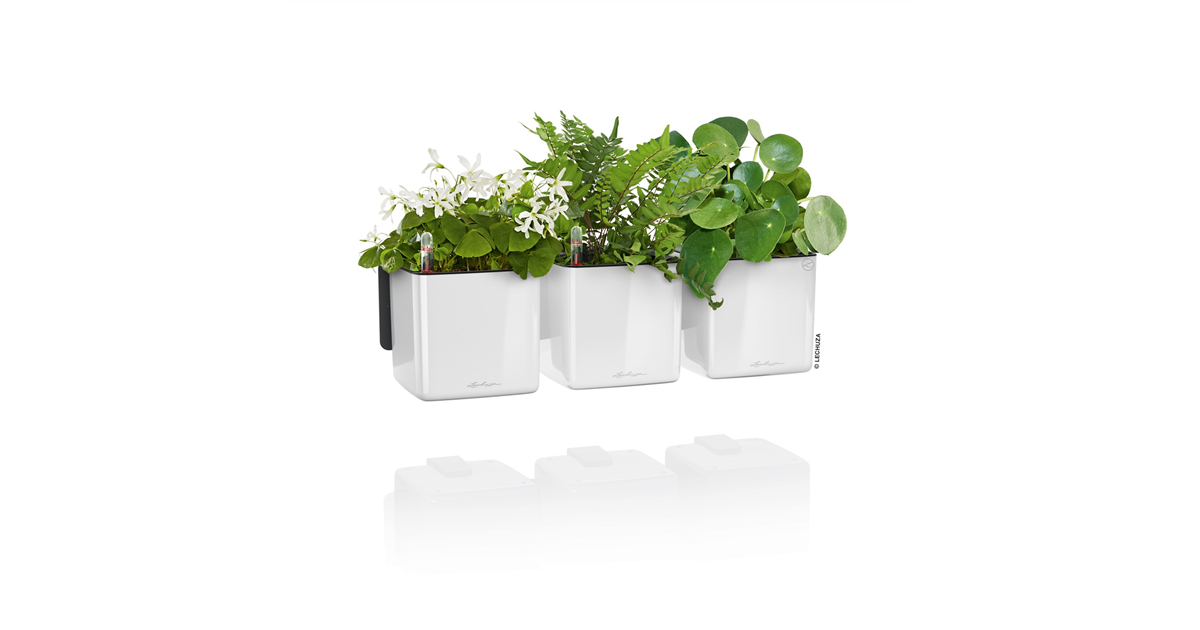 LECHUZA Green Wall Home Kit Glossy