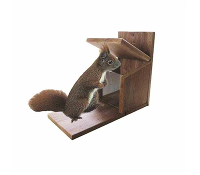 AP.HOSS Futterstation Eichhörnchen 27 cm
