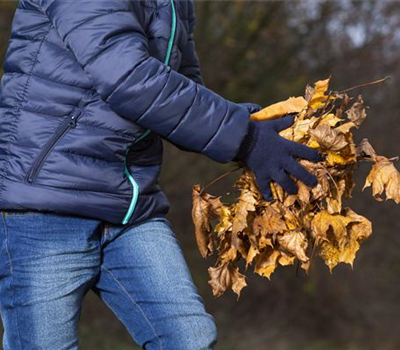 Allgemeine Gartenarbeit im Oktober