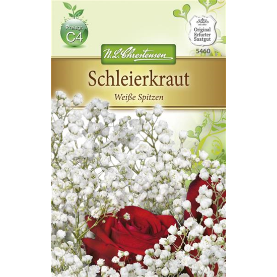 Garten-Schleierkraut-Samen 'Weiße Spitzen'