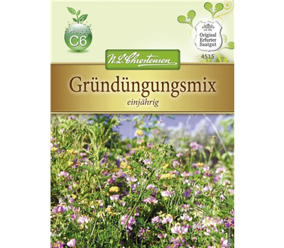 Gründungsmix-Samen