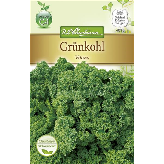 Grünkohlsamen 'Vitessa'