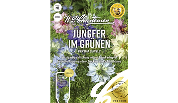 Bildvorschau