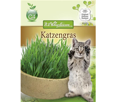 Katzengrassamen