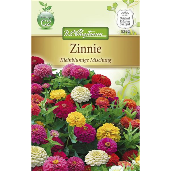 Kleinblütige Zinnie-Samen