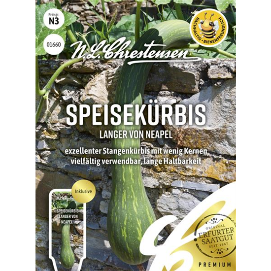 Kürbissamen 'Langer von Neapel'