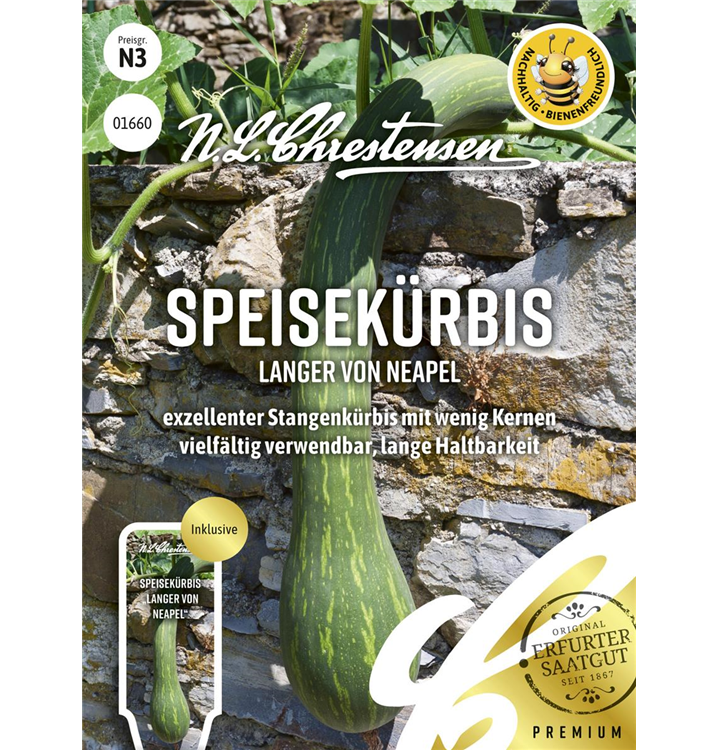 Cucurbita moschata 'Langer von Neapel'