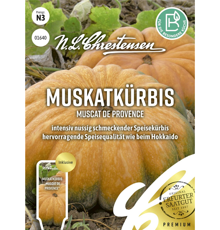Cucurbita moschata 'Muscat de Provence'