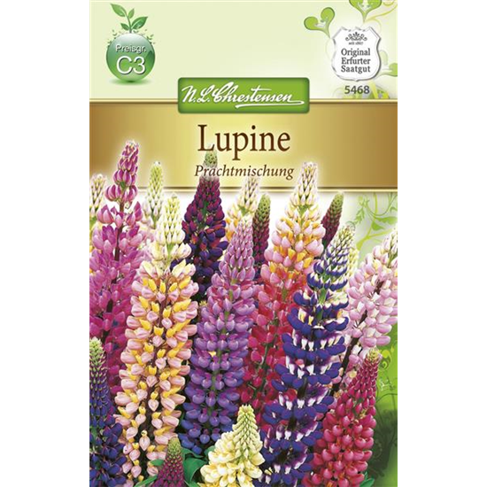 Lupinensamen 'Prachtmischung'