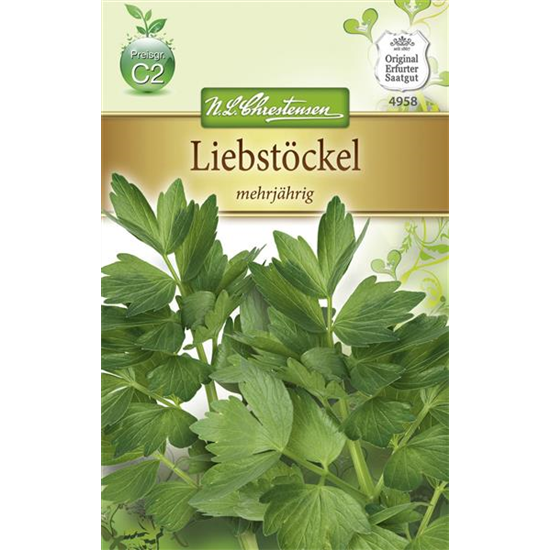 Liebstöckelsamen