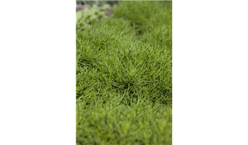 Gartencenter Rehner