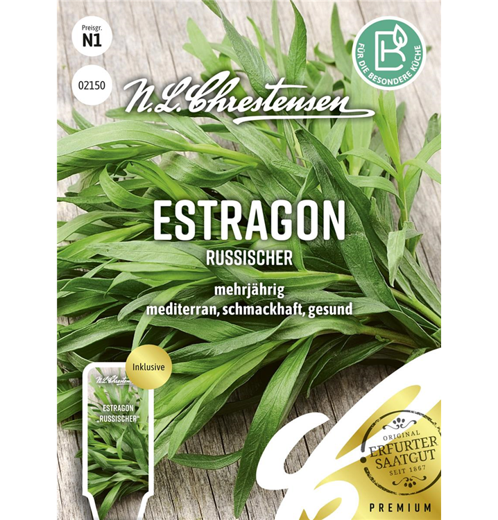 Artemisia dracunculus 'Rusischer'