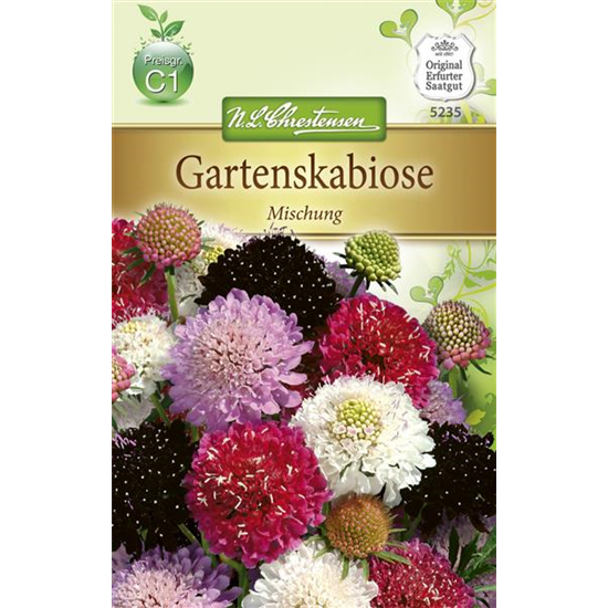 Samt-Skabiose-Samen