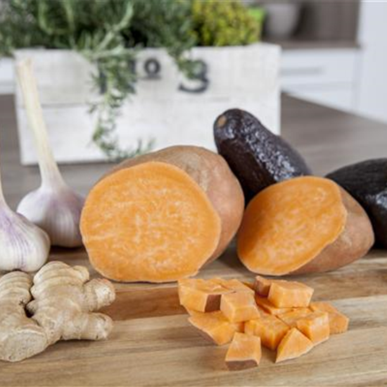 Süßkartoffel 'Erato'® Orange