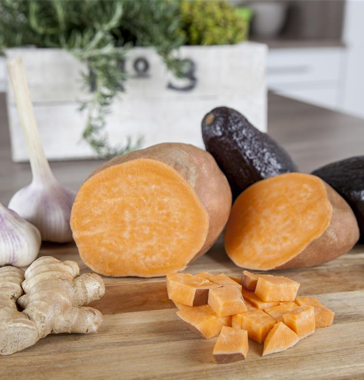 Ipomoea batatas 'Erato'® Orange