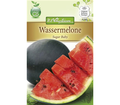 Wassermelonensamen 'Sugar Baby'