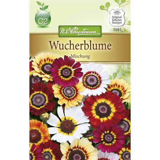 Wucherblumensamen