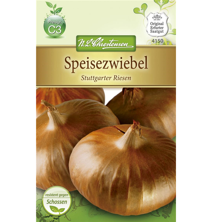 Allium cepa 'Stuttgarter Riesen'