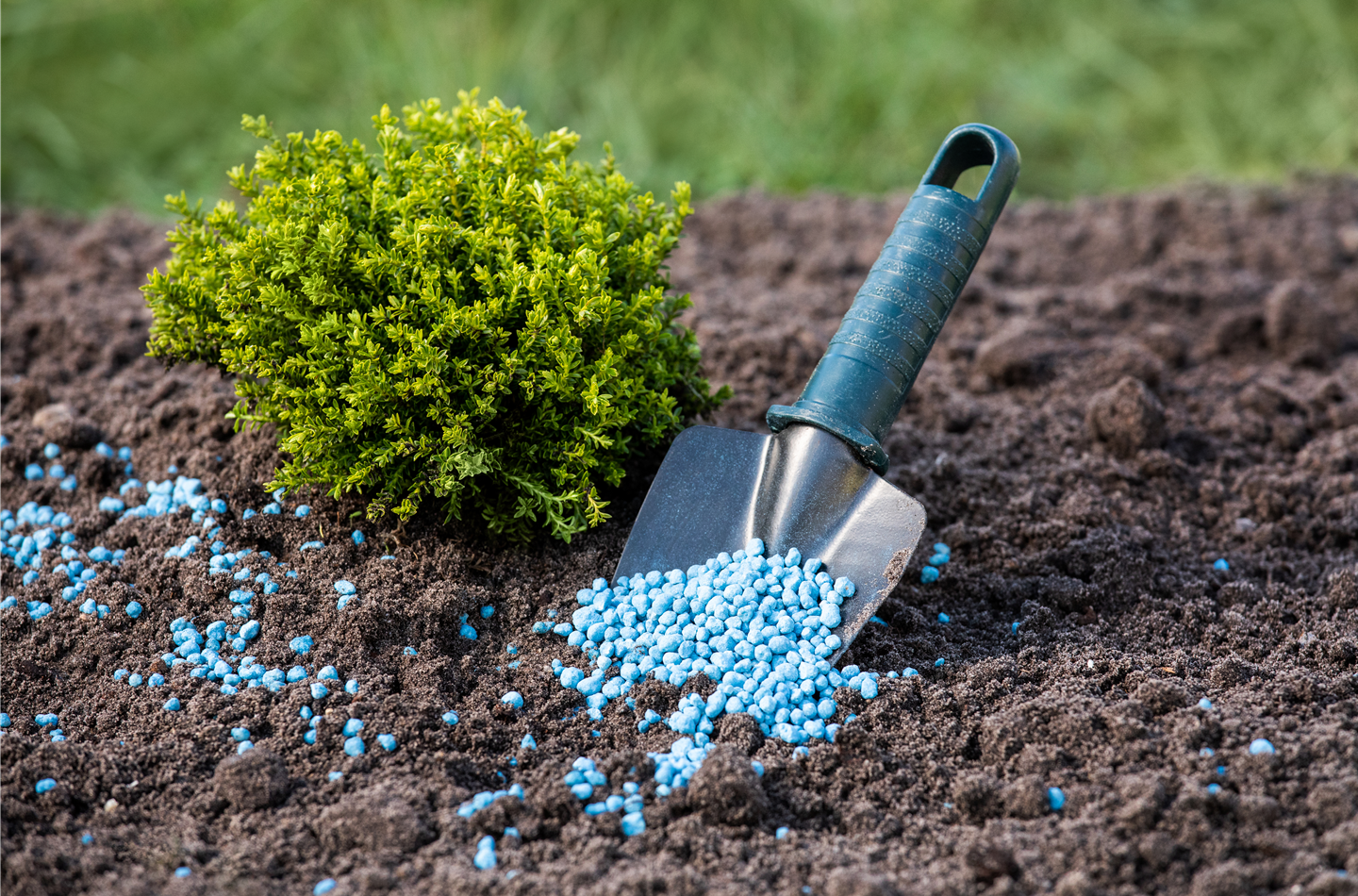 Dünger für einen guten Start ins neue Gartenjahr