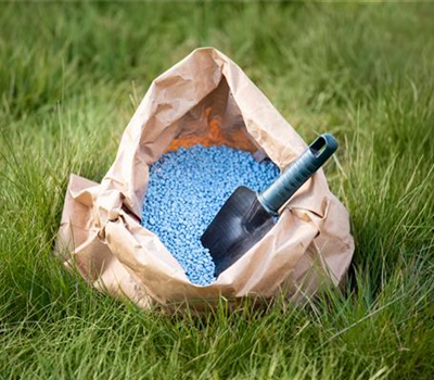 Richtig düngen für Pflanzen in Haus und Garten