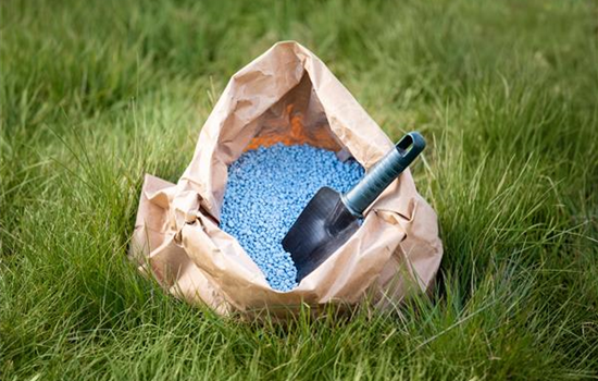 Richtig düngen für Pflanzen in Haus und Garten