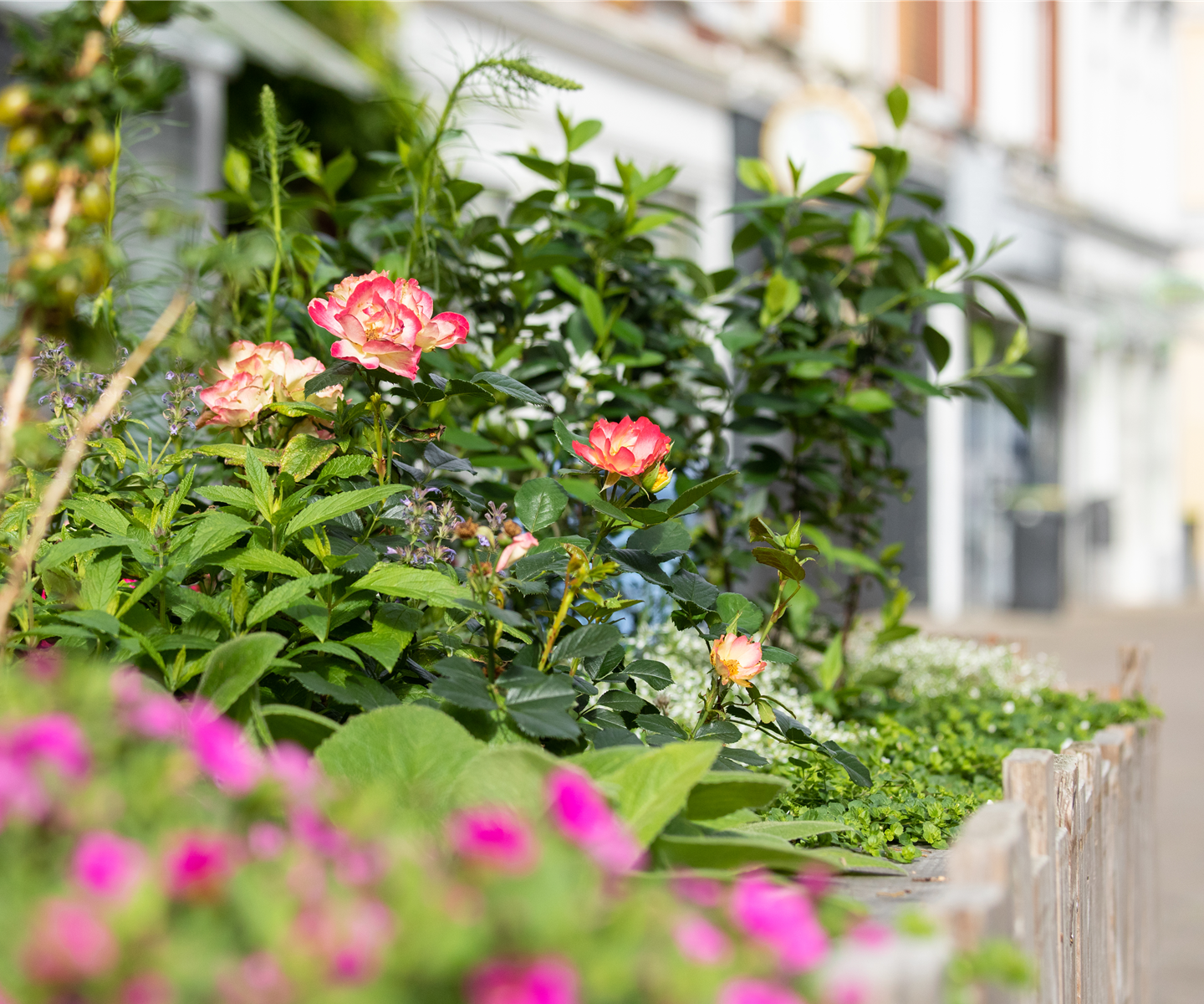 Mit Urban Gardening ist Gärtnern mit wenig Platz möglich