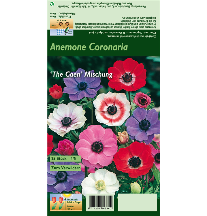 Anemone coronaria 'De Caen'