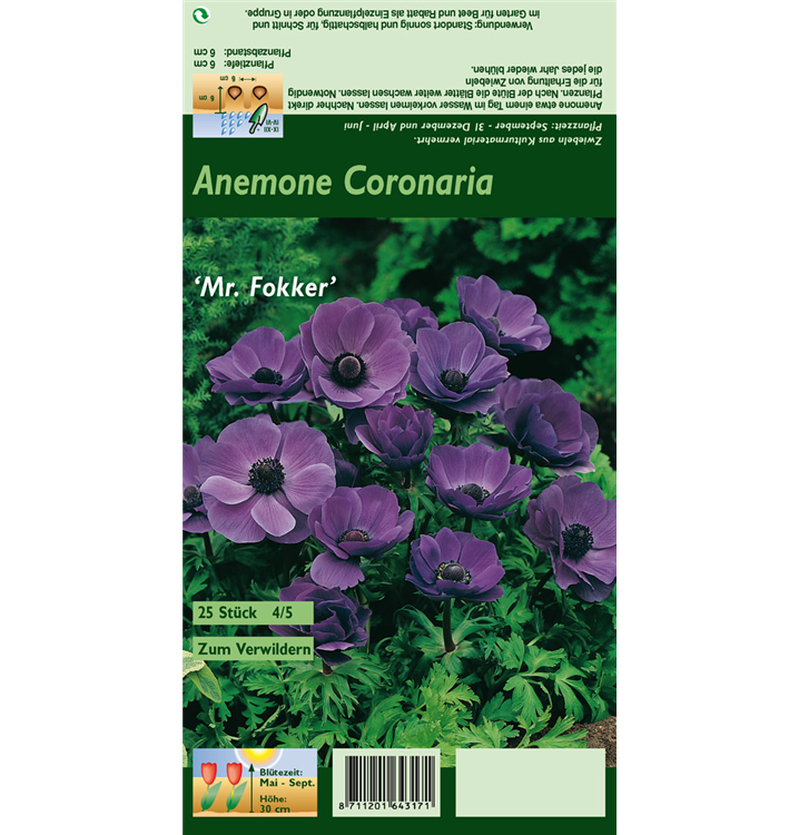 Anemone coronaria 'De Caen Mr. Fokker'