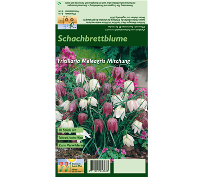 Gewöhnliche Schachblume