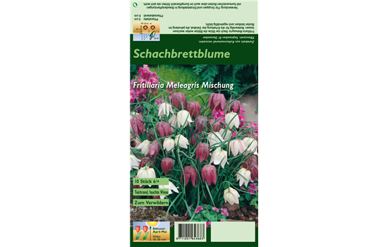 Gewöhnliche Schachblume