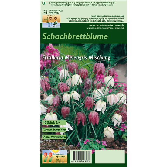 Gewöhnliche Schachblume
