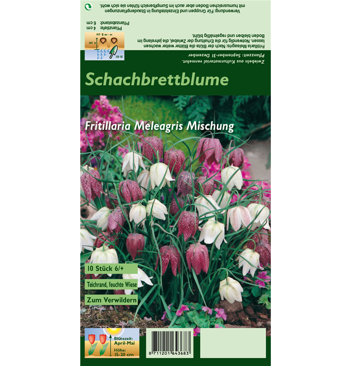 Fritillaria meleagris