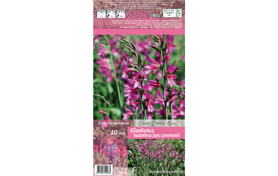 Gewöhnliche Siegwurz