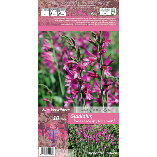 Gewöhnliche Siegwurz