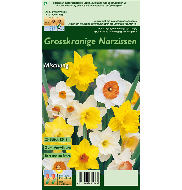 Narcissus, großkronig