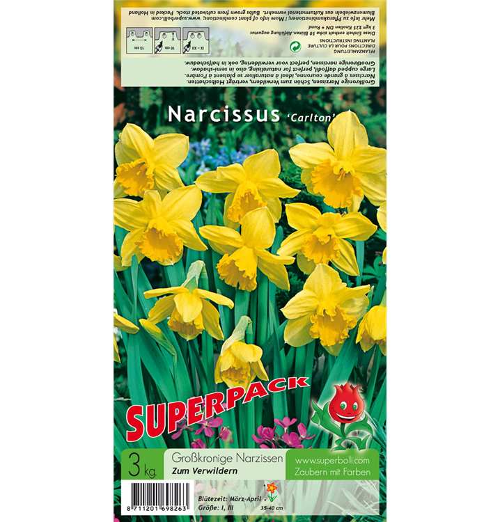 Narcissus 'Carlton'