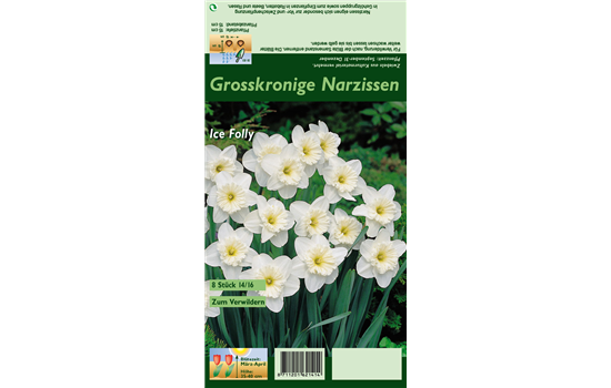 Großkronige Narzisse 'Ice Follies'