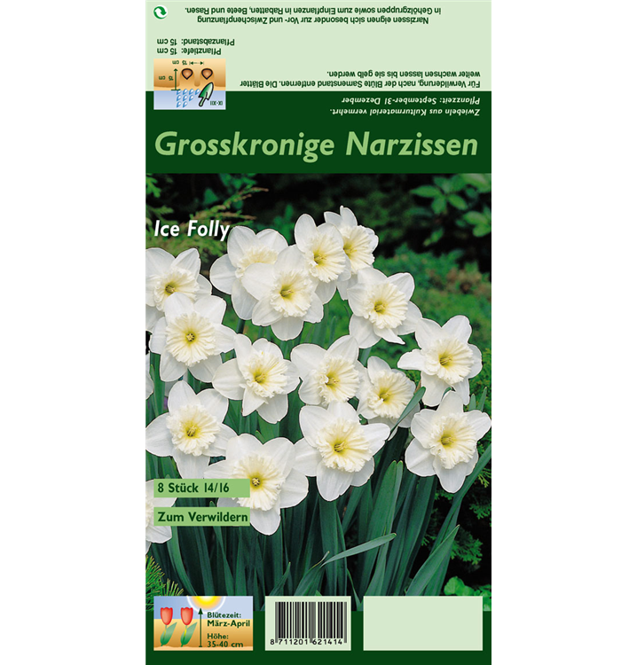 Narcissus 'Ice Follies'