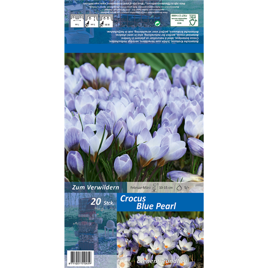 Kleiner Garten-Krokus 'Blue Pearl'