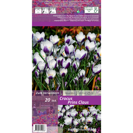 Kleiner Garten-Krokus 'Prins Claus'