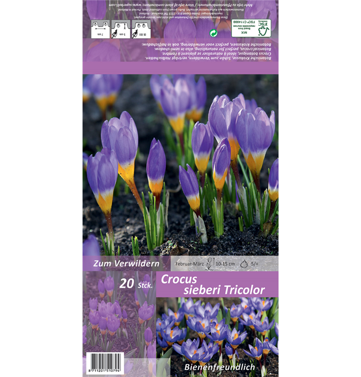 Crocus sieberi subsp. sublimis 'Tricolor'