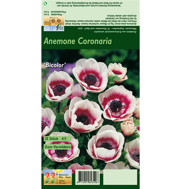 Anemone coronaria 'De Caen Bicolor'