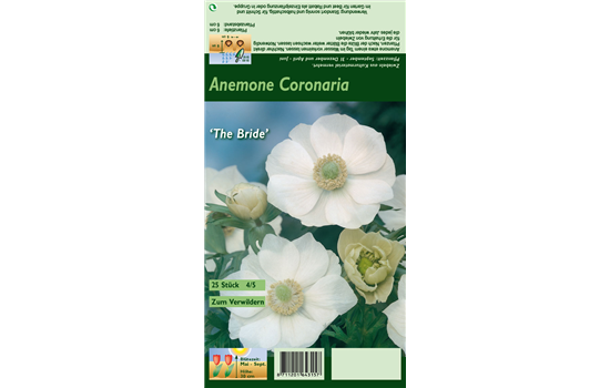 Kronen-Anemone 'De Caen The Bride'