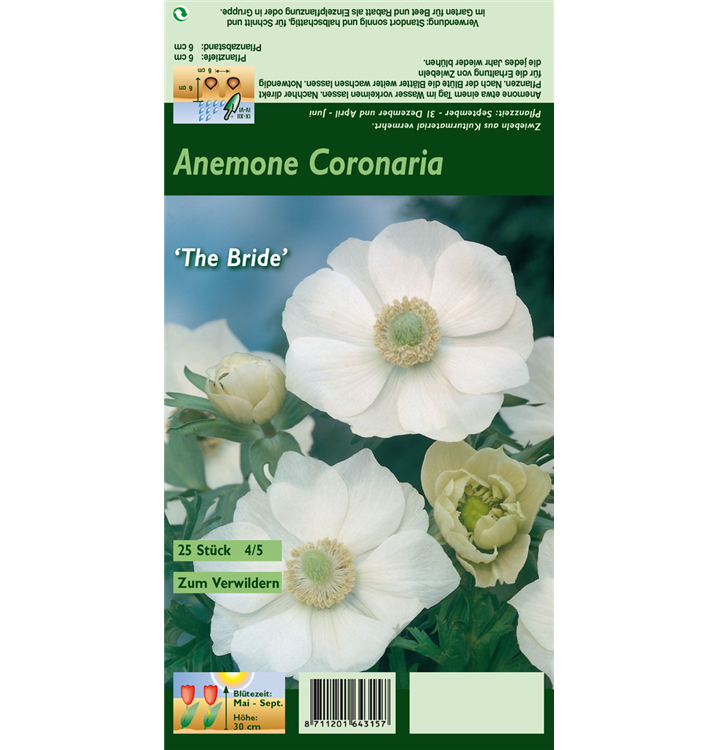 Anemone coronaria 'De Caen The Bride'