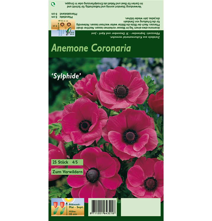 Anemone coronaria 'Sylphide'