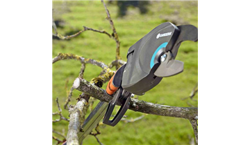 Gartencenter Rehner