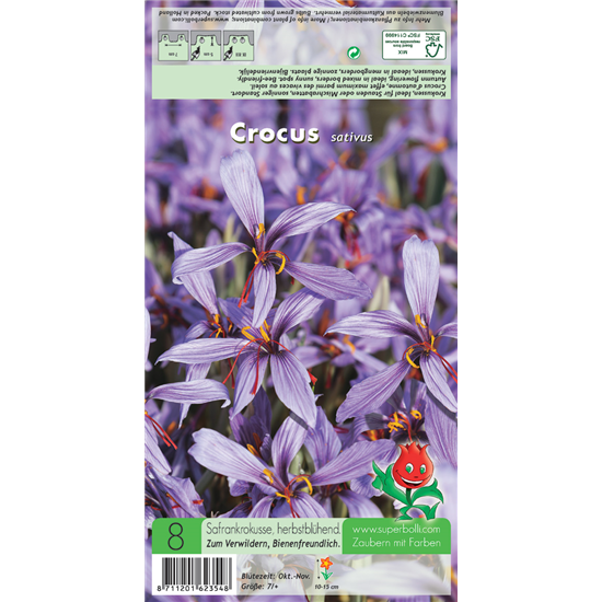 Safran-Krokus