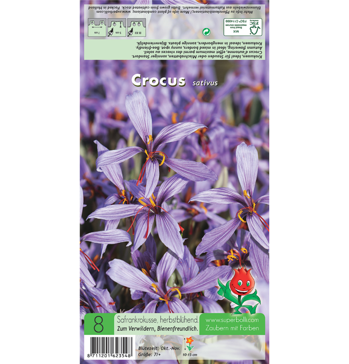 Crocus sativus