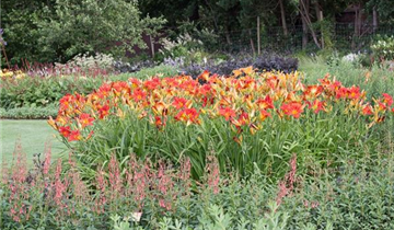 Zum Vergrößern klicken Bildvorschau