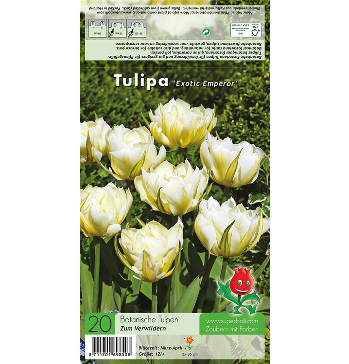 Tulipa fosteriana 'Exotic Emperor'